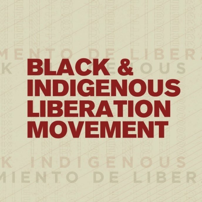 Movimiento de Liberación Afrodescendiente e Indígena
